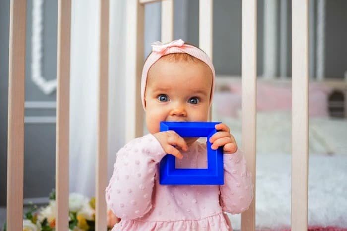 Baby Tooth Development