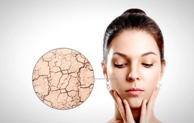 Plant Oils for Skin