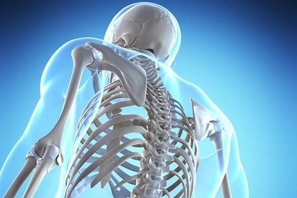 Difference Between Vitamin D and Calcium