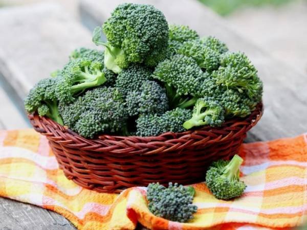 Storing Broccoli