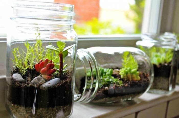 Terrarium with Jam Jar