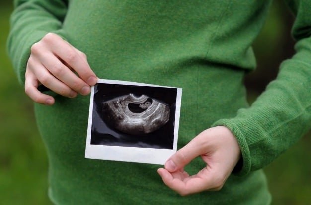Early Pregnancy Facts