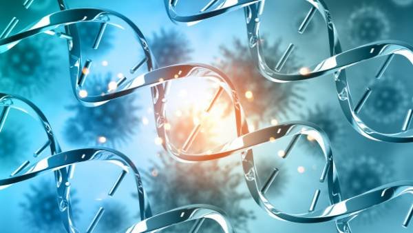 Genetic Counselor