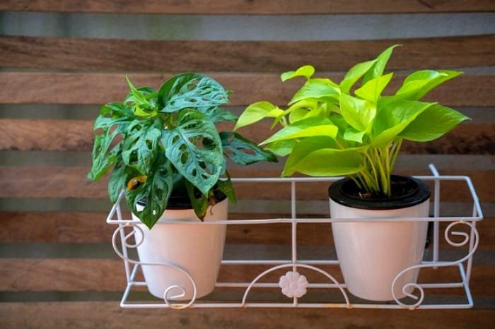 Creating a Green Bathroom Space