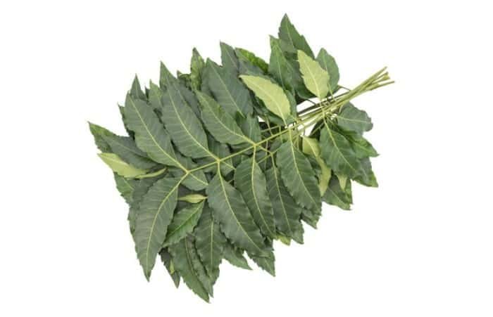 Treatment for hair loss at temples
