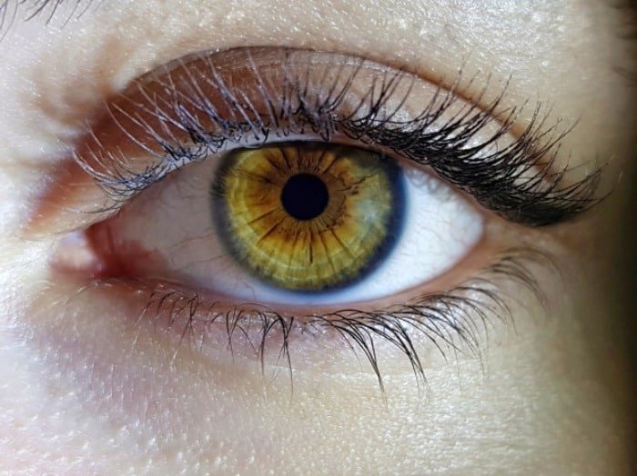 Eyelash Lamination with Gelatin.
