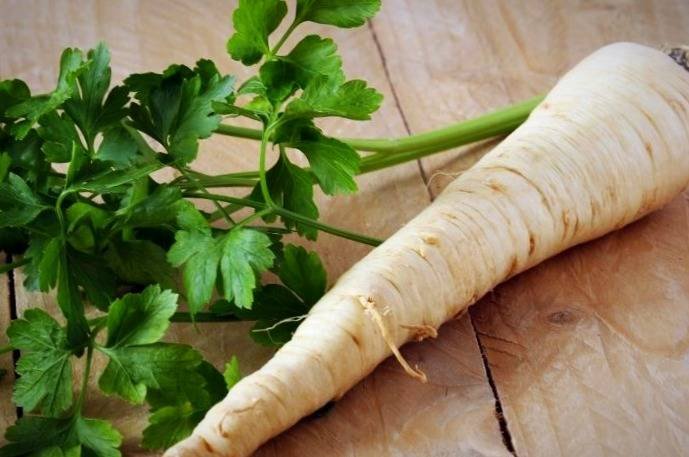 Horseradish for colds