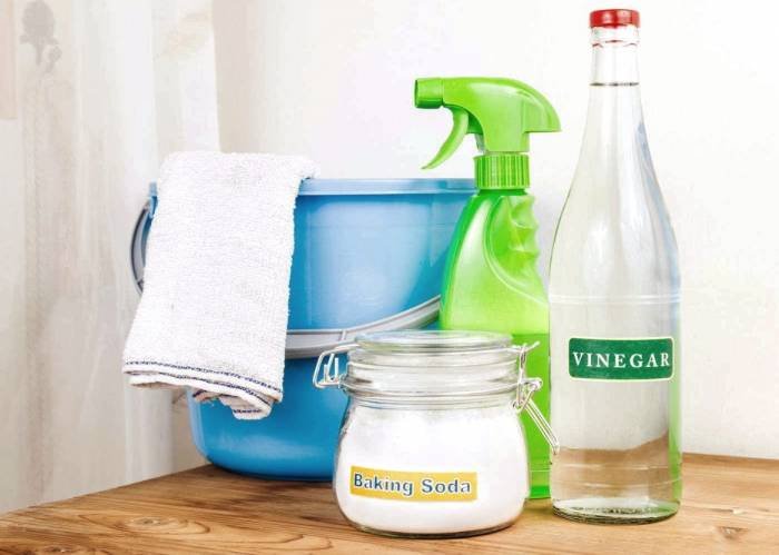 Fireplace Cleaner