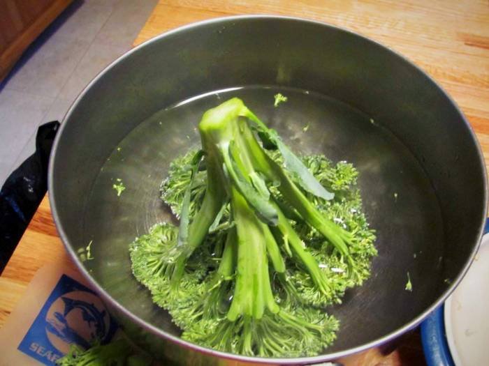 how to wash broccoli to remove worms