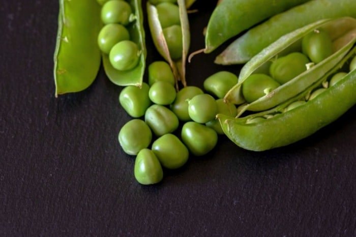 Packing Peas in the Freezer