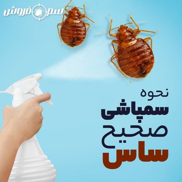 <trans_280></trans_280>