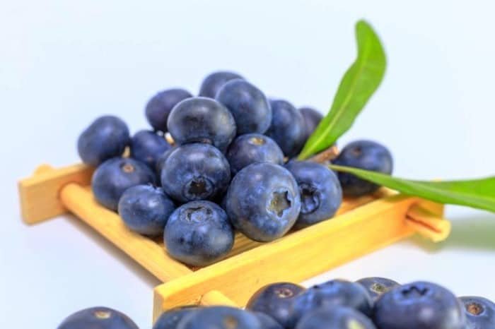 Blueberries and Weight Loss