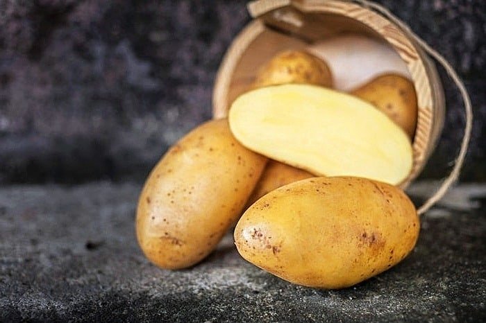 Home remedies for wound infections.