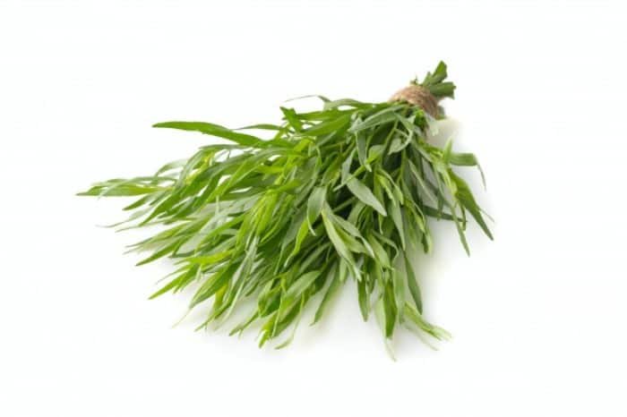 Tarragon