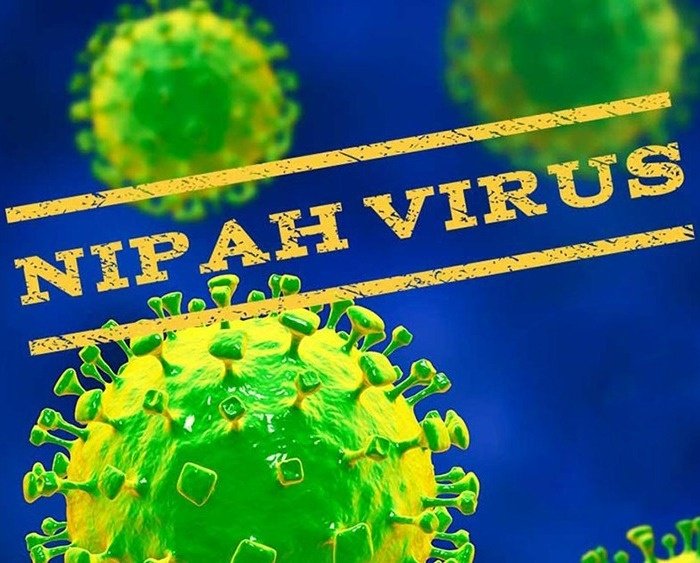 Treatment of Nipah Disease Symptoms of Nipah Disease