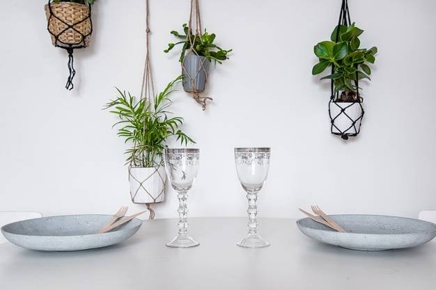 Hanging Plant