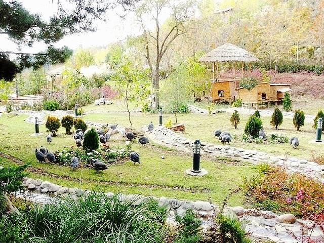 Norouz Park