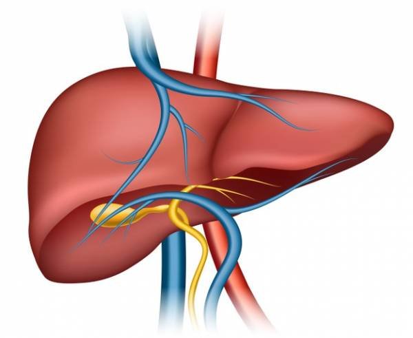 Gallbladder