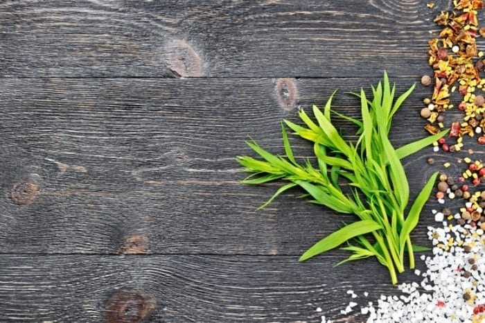 Properties of tarragon