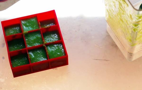 Sour Grape Puree