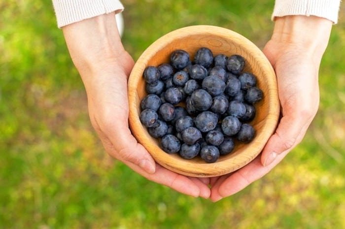 Blueberries for Weight Loss