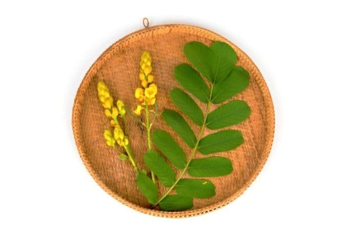 Benefits of the senna plant