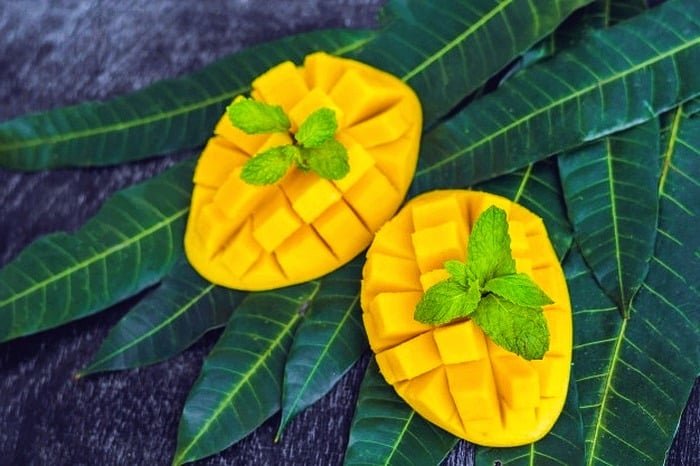 <trans_133></trans_133> <trans_132></trans_132>