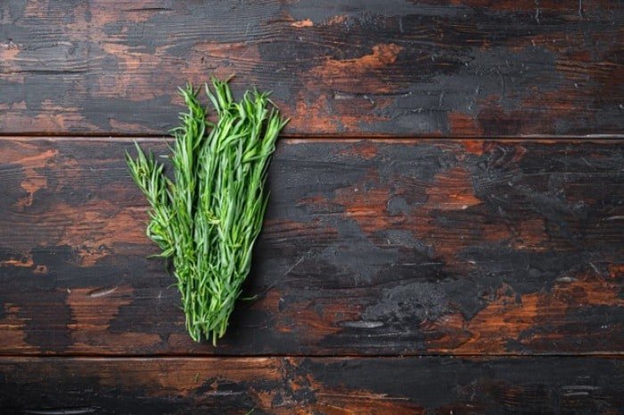 Properties of tarragon