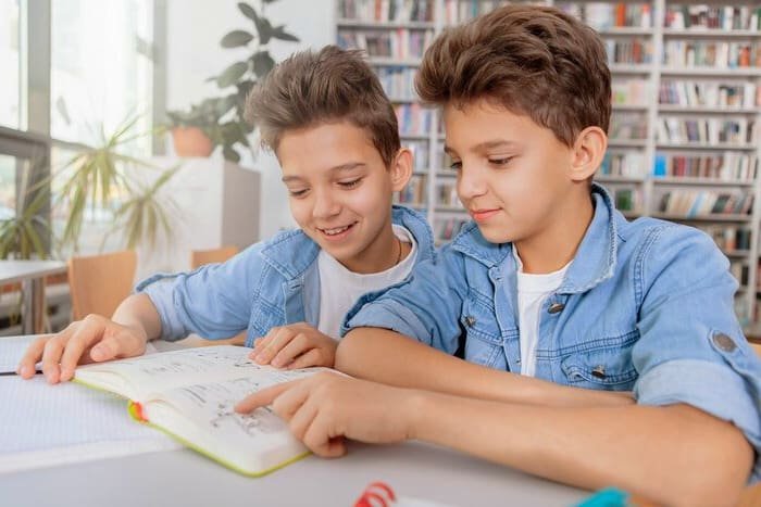 Twin Learning