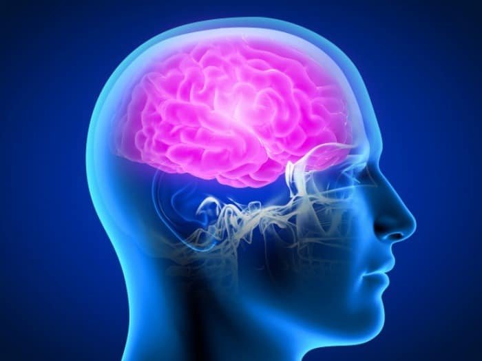 Brain Stem and Alzheimer’s