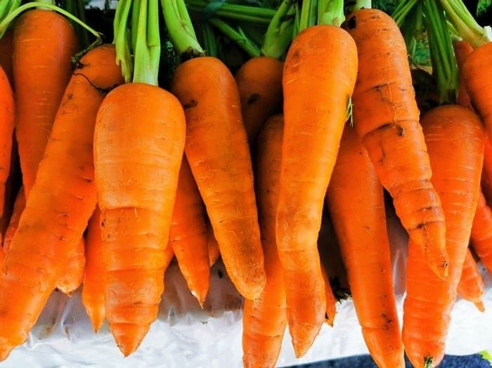 Essential nutrients