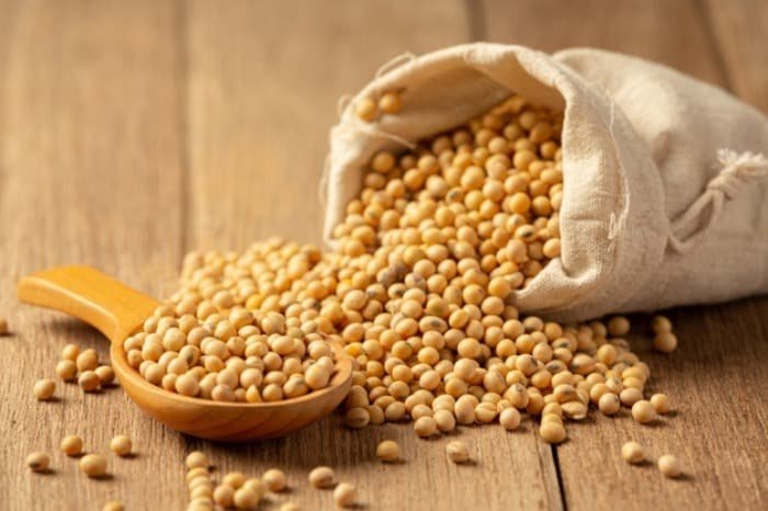 Soy for bones