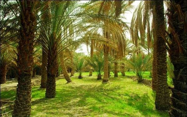 Garmeh Village