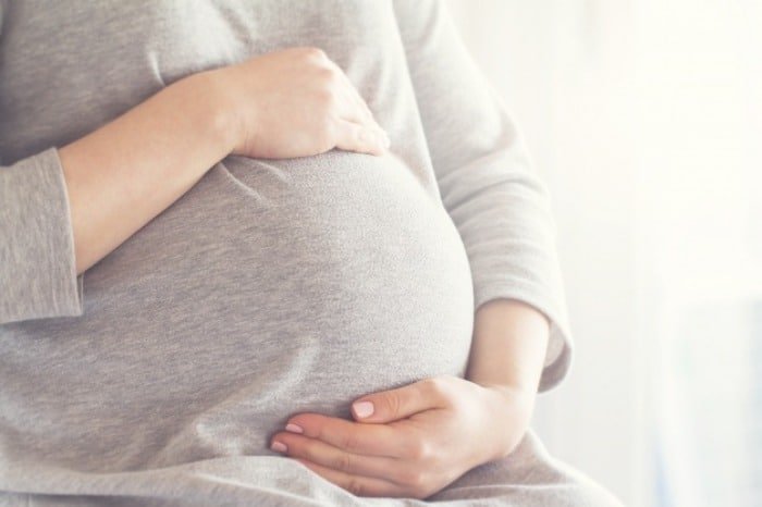 Pregnancy Facts
