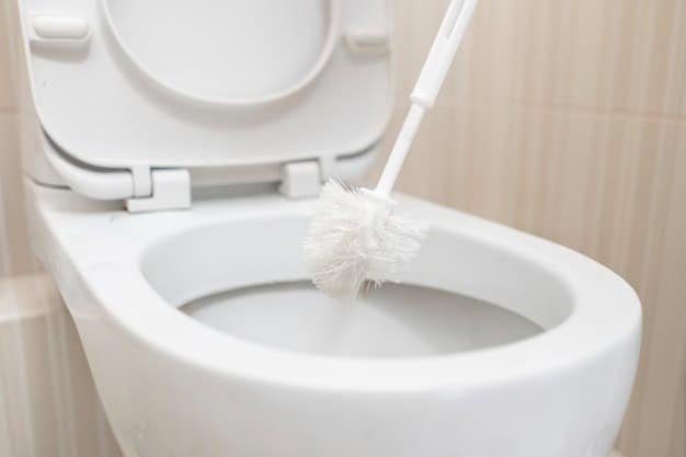 Toilet Brush