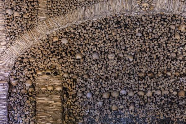 The Bone Church