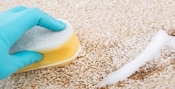 Cleaning Vomit from the Carpet