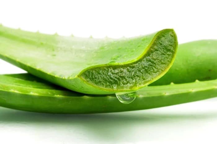 Treatment for hair loss with onion juice