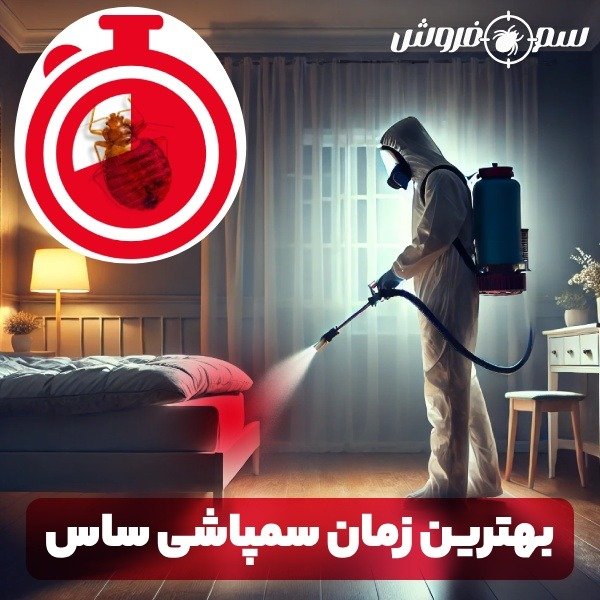 <trans_282></trans_282>