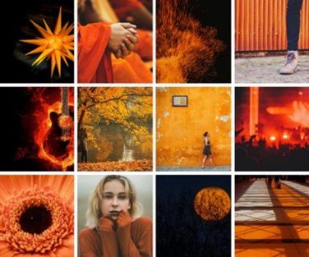 Impact of Orange on Emotions Orange in Advertising and Marketing
