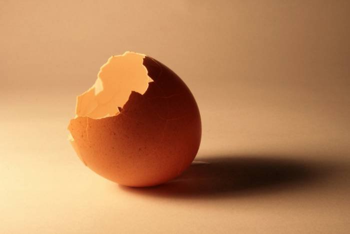 Expired Egg