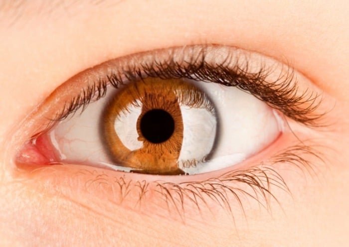 Brown Eyes