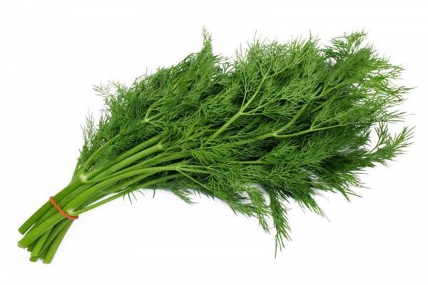 Alleviating anxiety with dill oil