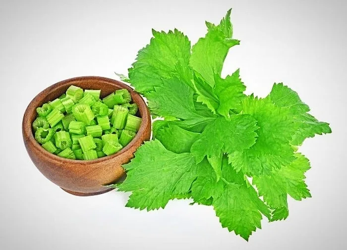 Harms of Celery Juice Benefits of Magnesium