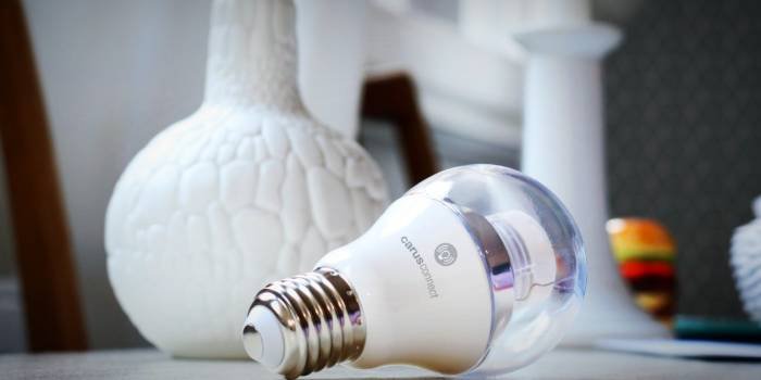 Bulb Lamps