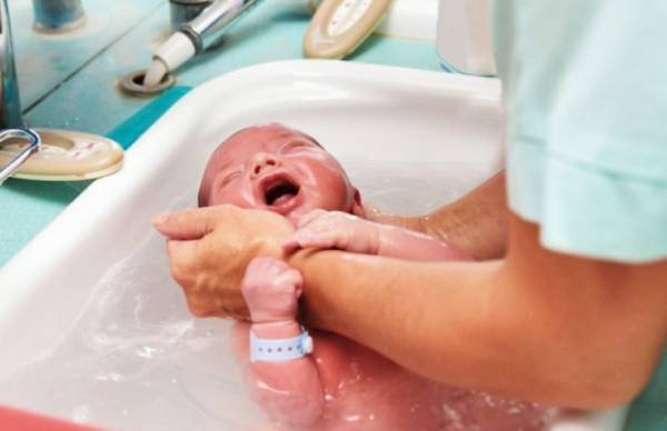 Newborn