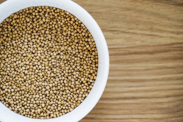 Treating cholesterol with coriander seeds
