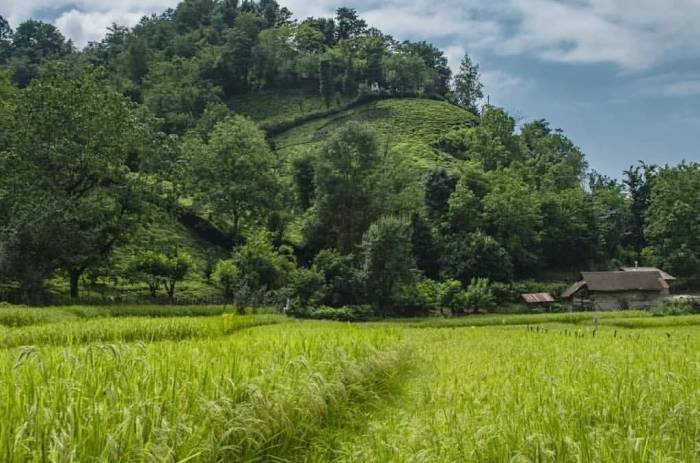 Directions to Gisum Forest Park