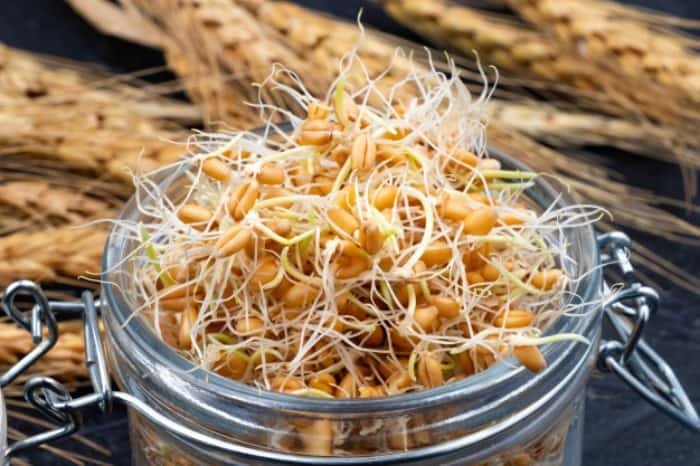 Raw or cooked sprouts