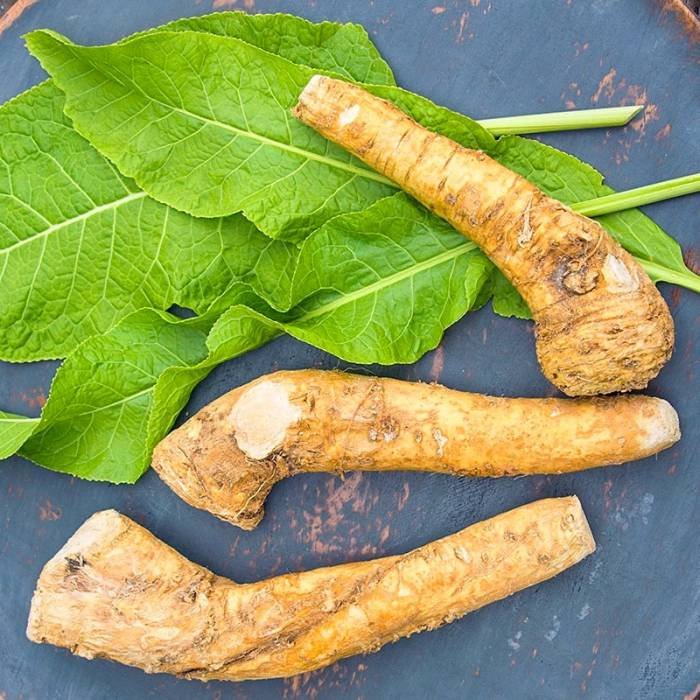 Properties of radish